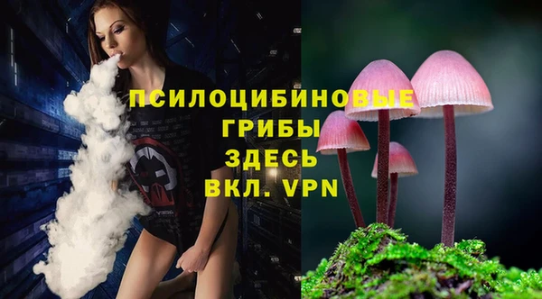 ГАЛЛЮЦИНОГЕННЫЕ ГРИБЫ Алексин