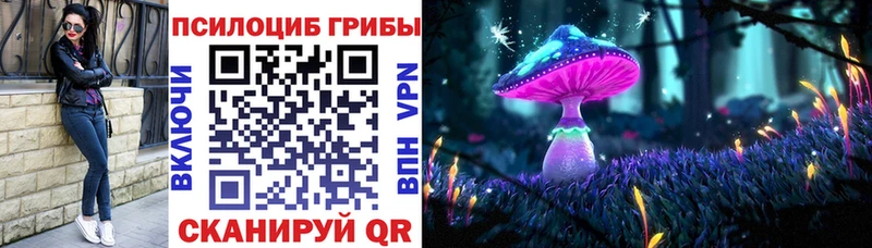 Галлюциногенные грибы Psilocybine cubensis  цена наркотик  Томск 