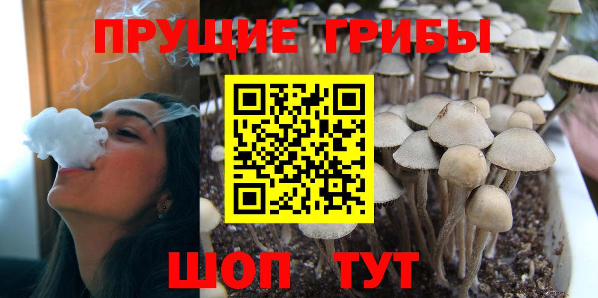БУТИРАТ Томск