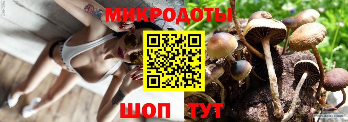 Галлюциногенные грибы GOLDEN TEACHER  Вход с VPN  Томск  наркошоп  Галлюциногенные грибы Magic Shrooms 
