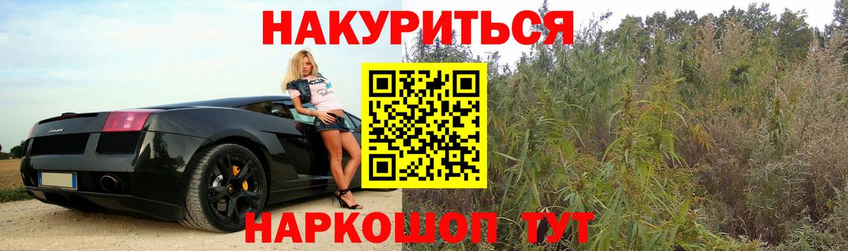 Бошки Шишки AK-47  Каннабис AK-47  Томск  Конопля AK-47  Вход с VPN  Каннабис THC 21% 